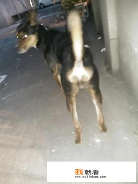 有什么搞笑的表情包推荐吗？