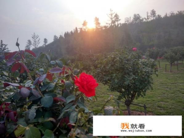 女子在福建泉州深山当灰姑娘，拍照收费288元，称因失恋来这里，否认炒作你怎么看？