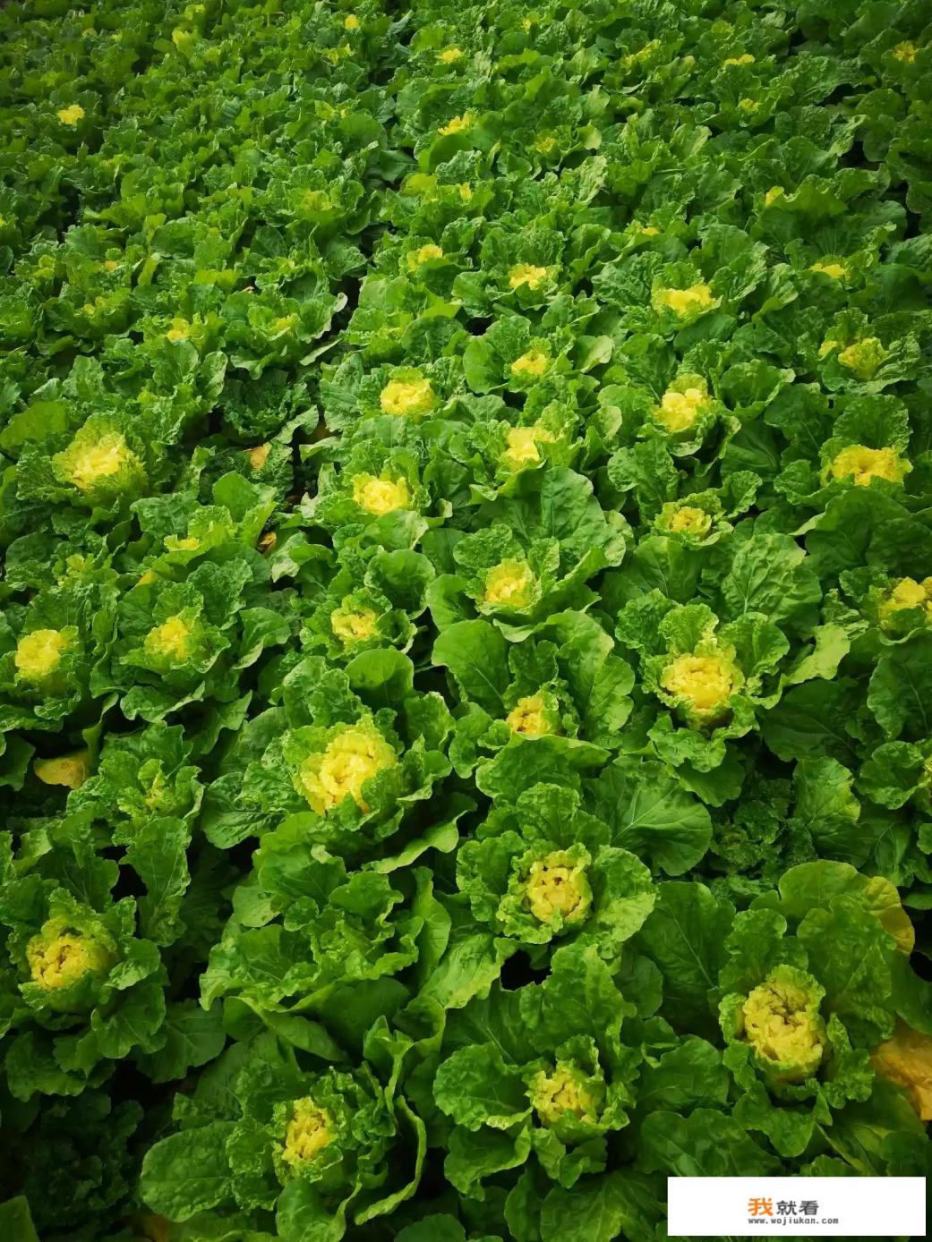 如何拯救玩游戏荒废学业的初一学生? 如何拯救玩游戏荒废学业的初一学生?