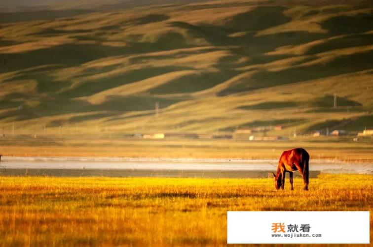 大家怎么看甘肃这个省份? 大家怎么看甘肃这个省份?