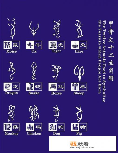 十二生肖各自的守护神是什么？有什么来历呢？