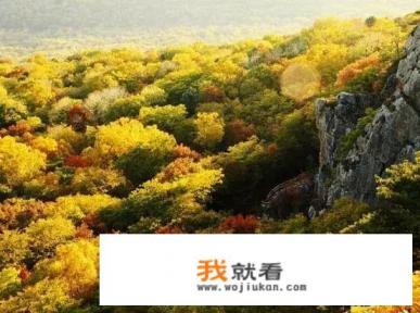 哈尔滨周边有哪些不错的森林公园？别整一百多公里以外的，都能出省了？