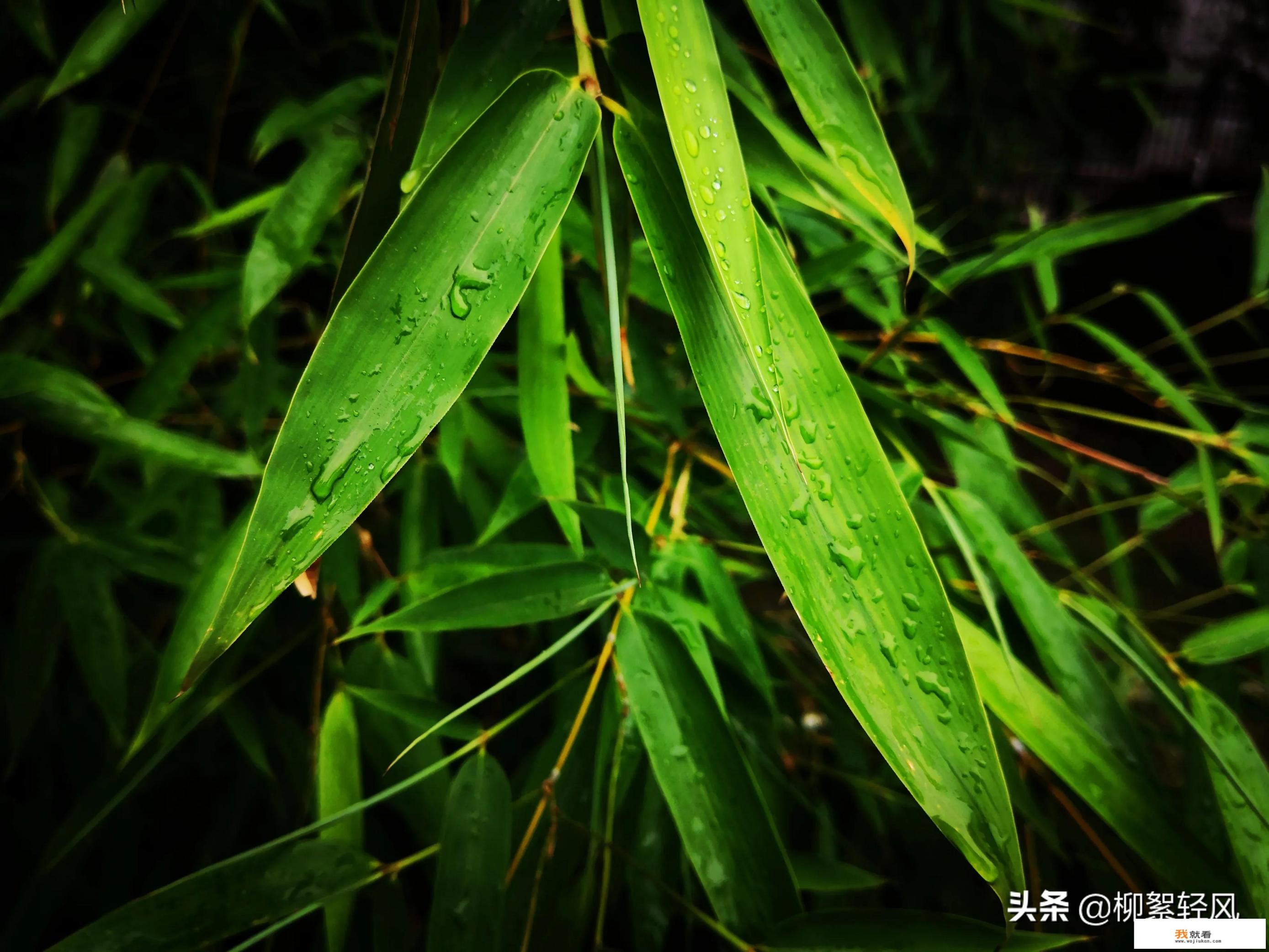 51岁退休，主任医师，爱好摄影，集邮，未来生活谁有好的建议？