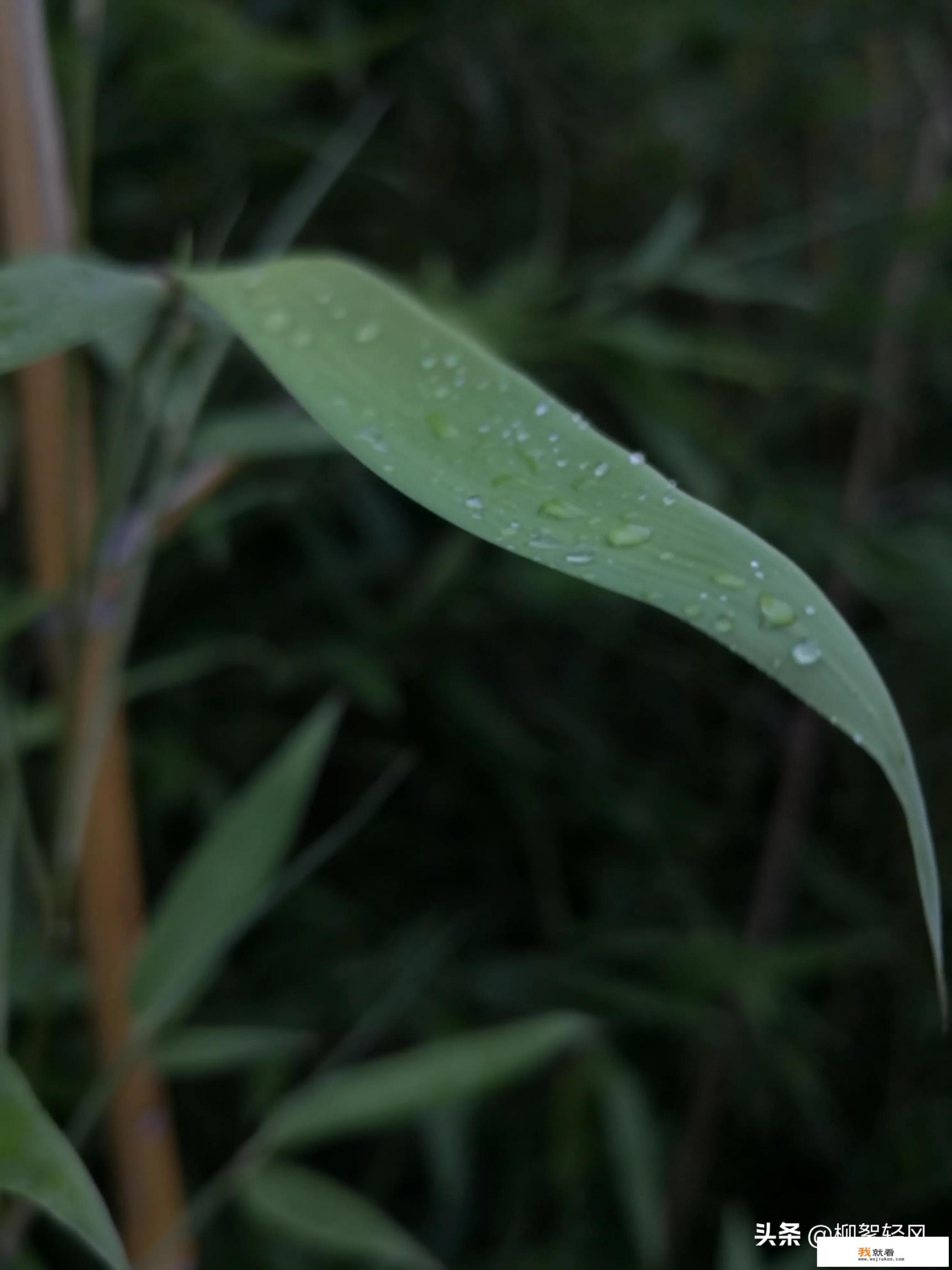 51岁退休，主任医师，爱好摄影，集邮，未来生活谁有好的建议？