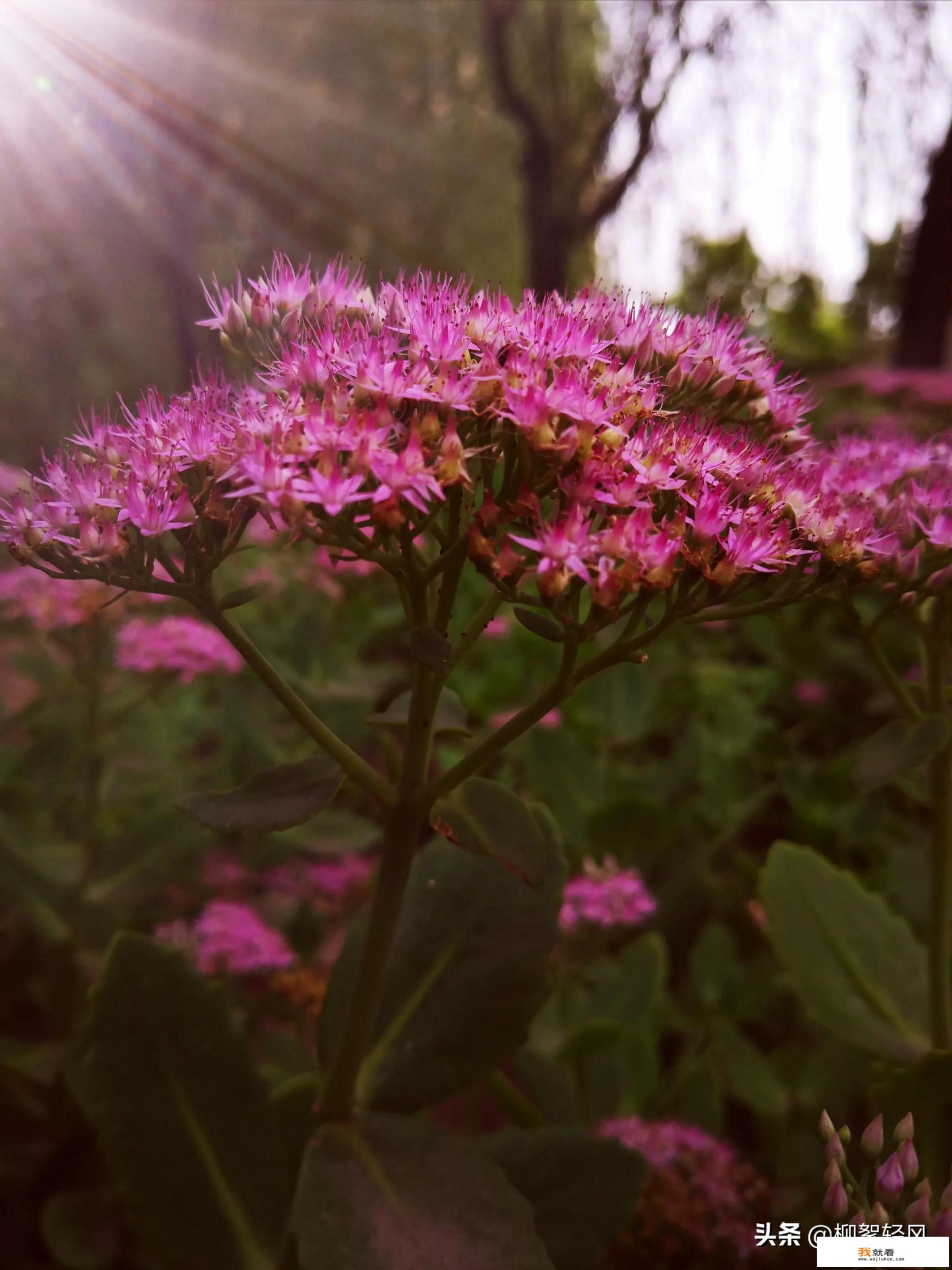 51岁退休，主任医师，爱好摄影，集邮，未来生活谁有好的建议？