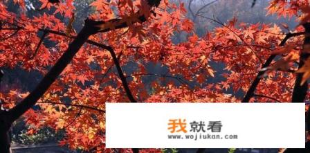 请问江苏有些什么适合秋季游玩的景点？