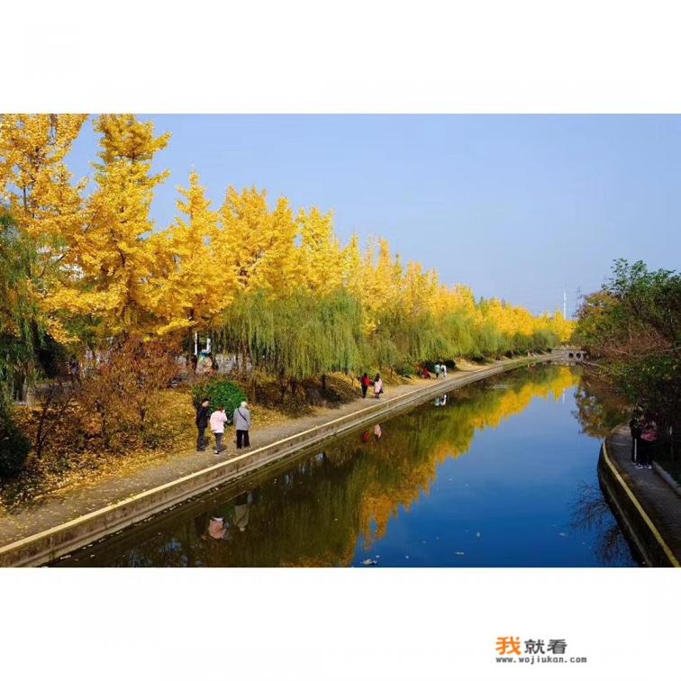 宜昌最好公园排名？