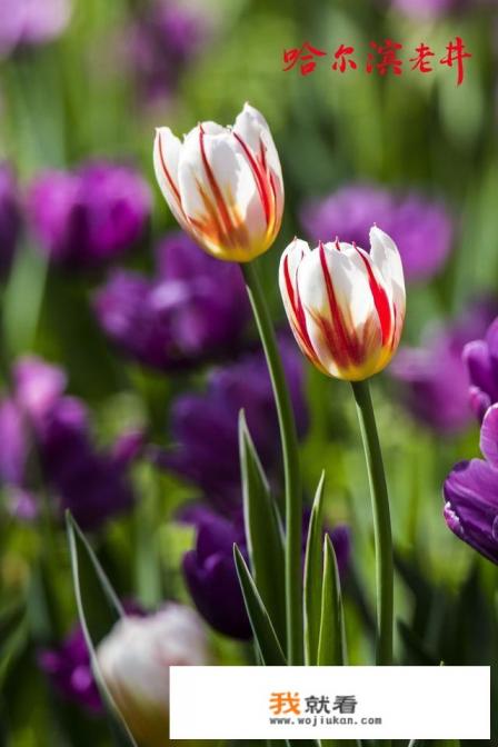 怎样剪辑音乐？