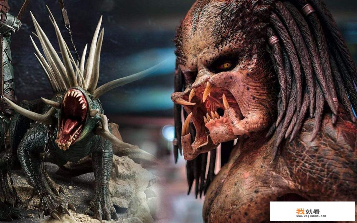 铁血战士2018铁血为什么要帮人类？