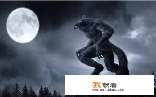 233乐园下载的游戏怎么撤销？