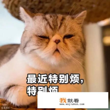 one day男演员叫什么？