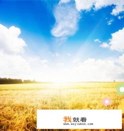 sololeveling游戏什么时候上线? sololeveling游戏什么时候上线?