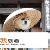 你用过的最搞笑的表情包是什么? 你用过的最搞笑的表情包是什么?