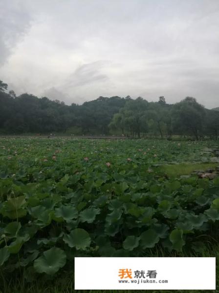 7月下旬去承德避暑山庄穿什么？