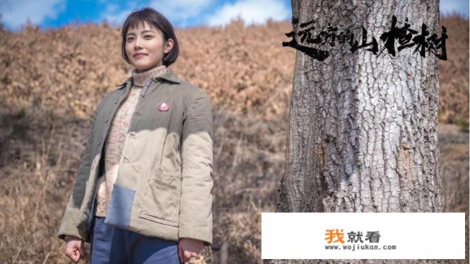 远方的山楂树剧情介绍笫五十四集? 远方的山楂树剧情介绍笫五十四集?