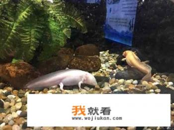 长兴旅游景点有哪些不要门票的？