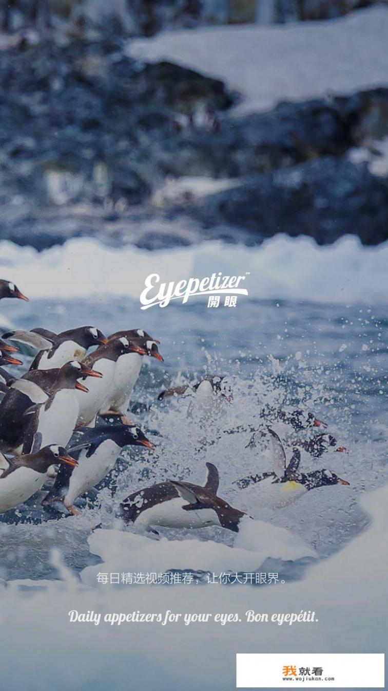 红尘直播app安全吗? 红尘直播app安全吗?