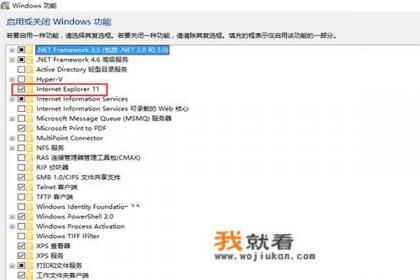 internet explorer怎么删除？