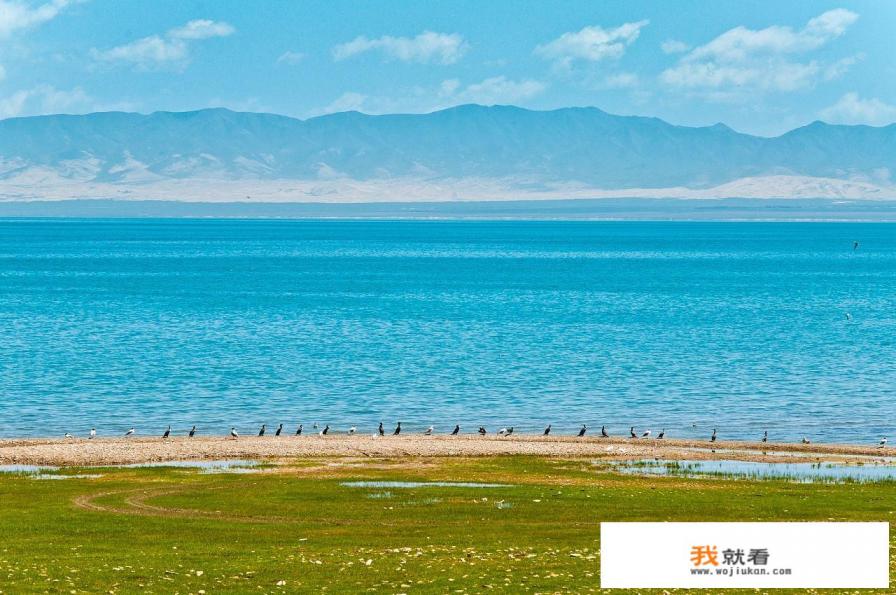 山东省淄博市出发，到青海湖等地自驾游，该如何设计最优路线？