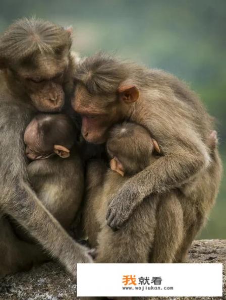 人生路上如何面对各种诱惑？