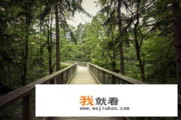 网易上班时间？