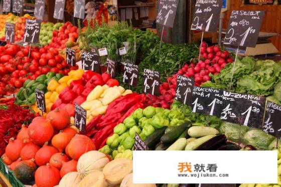 维也纳的十大特点？