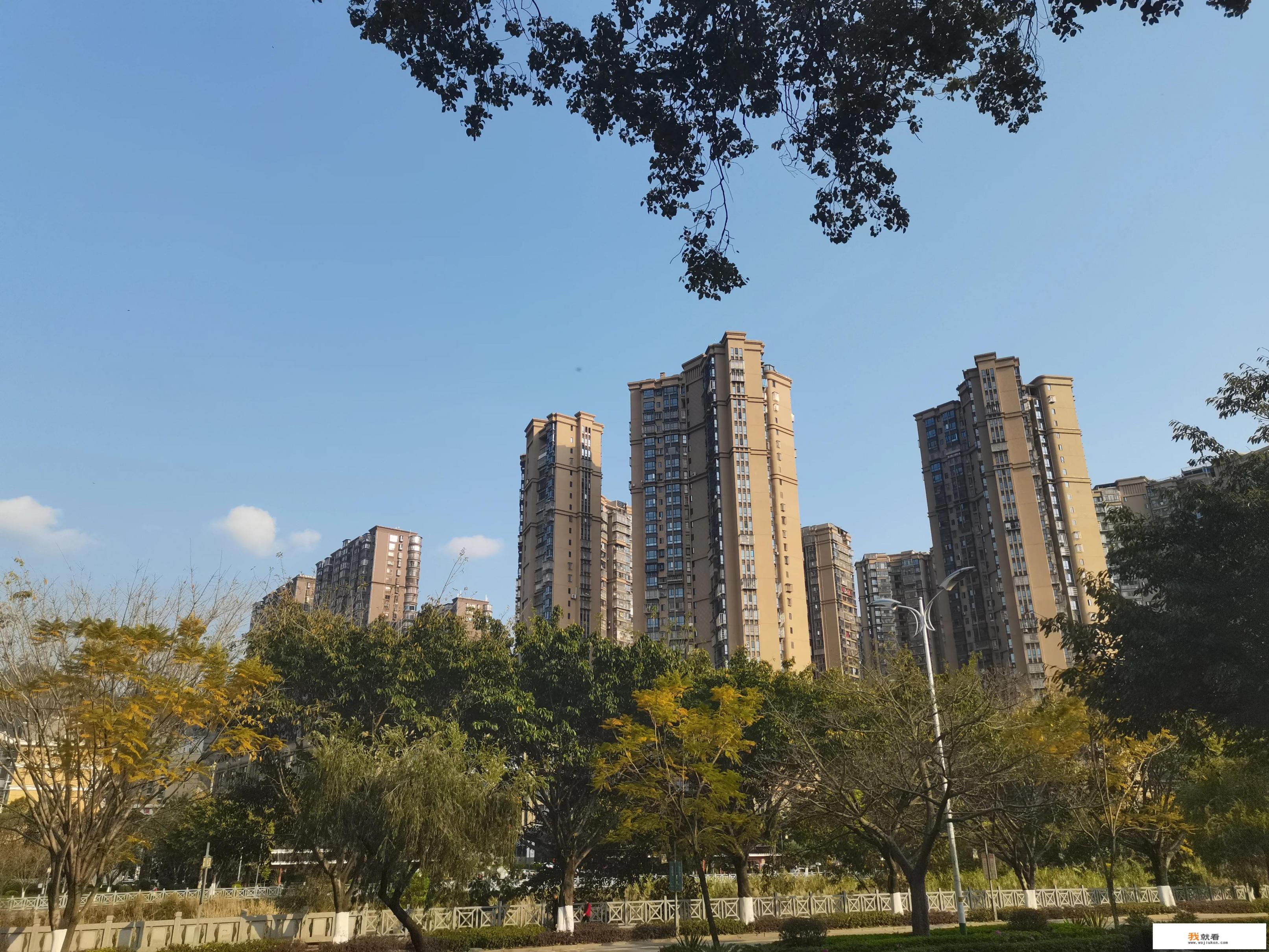 游戏动作师老了何去何从？