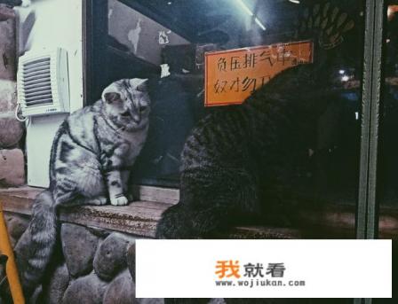 我想去厦门玩，哪有比较便宜的酒店住宿？