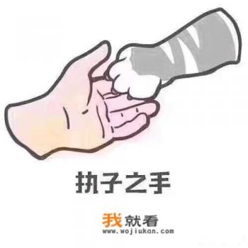 怎么训练狗狗捡球？它每次捡了球回来都不肯轻易把球给我？