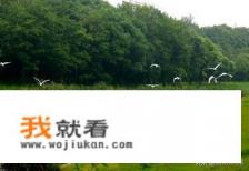 海湾森林公园门票攻略？