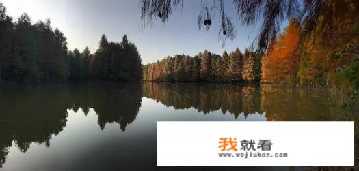 海湾森林公园门票攻略？