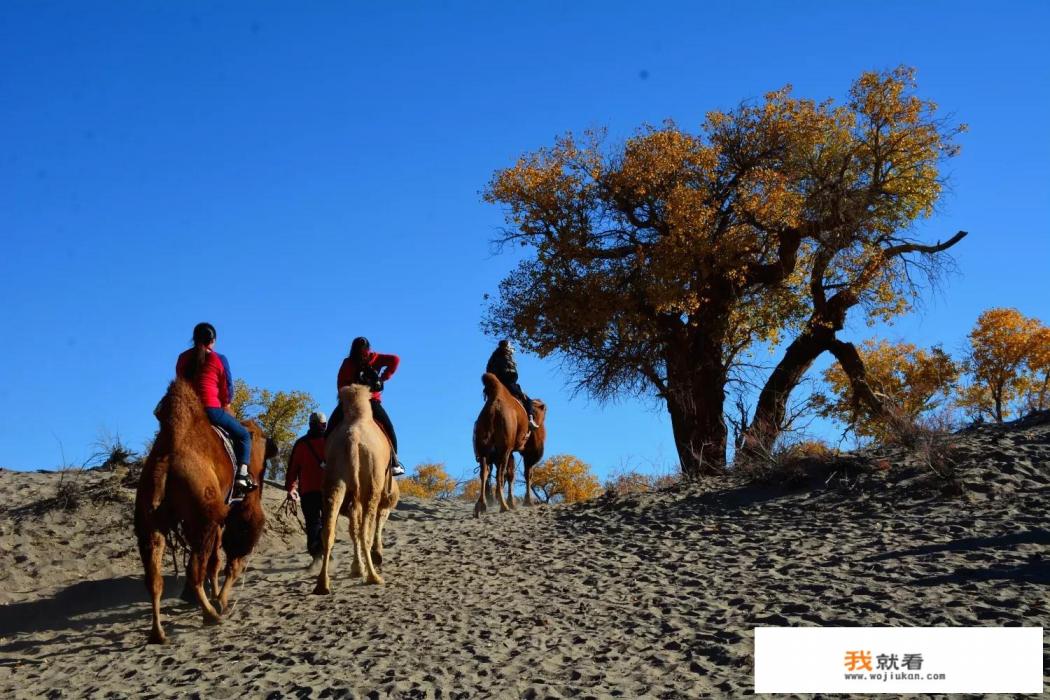 阿拉善必去的五大景点? 阿拉善必去的五大景点?