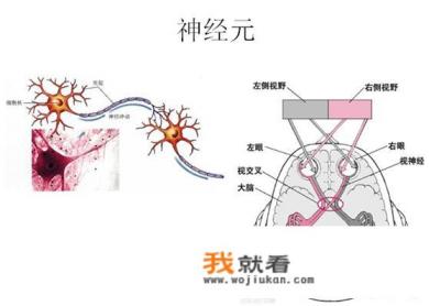 “空即是色，色即是空”是什么意思？