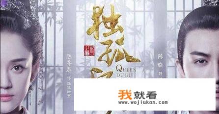 与独孤皇后有关的电视剧？
