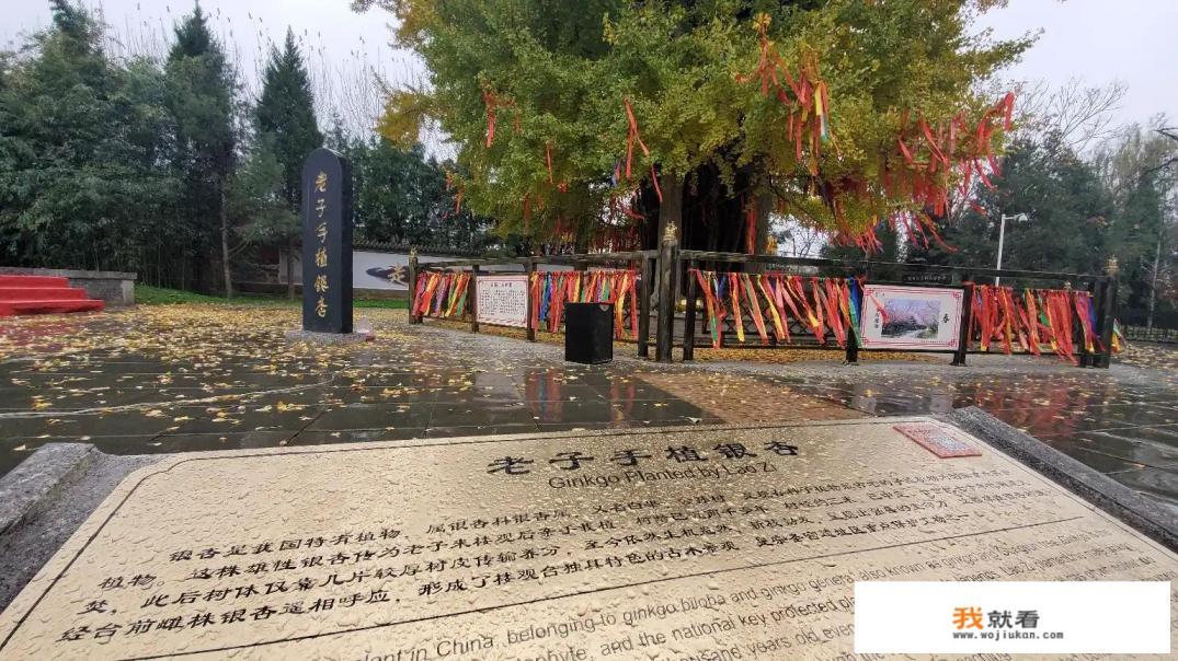 游玩旅行什么意思？