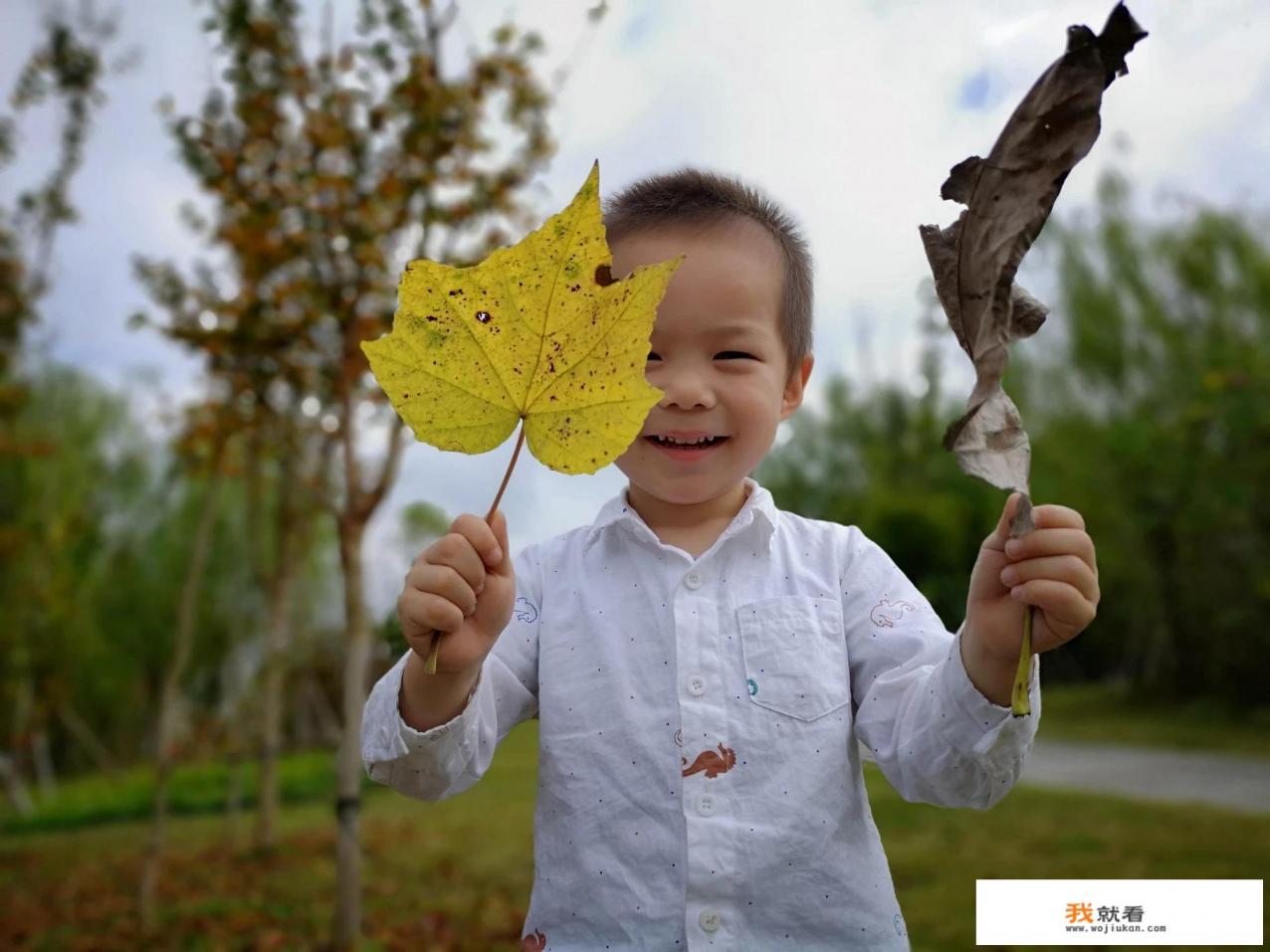 有哪些外观好看，自拍效果好，适合女生用的平价手机？