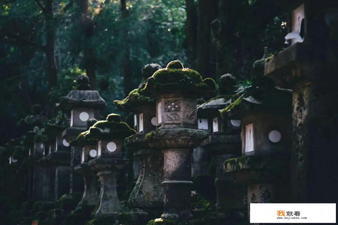 东京奥运会应知须知？