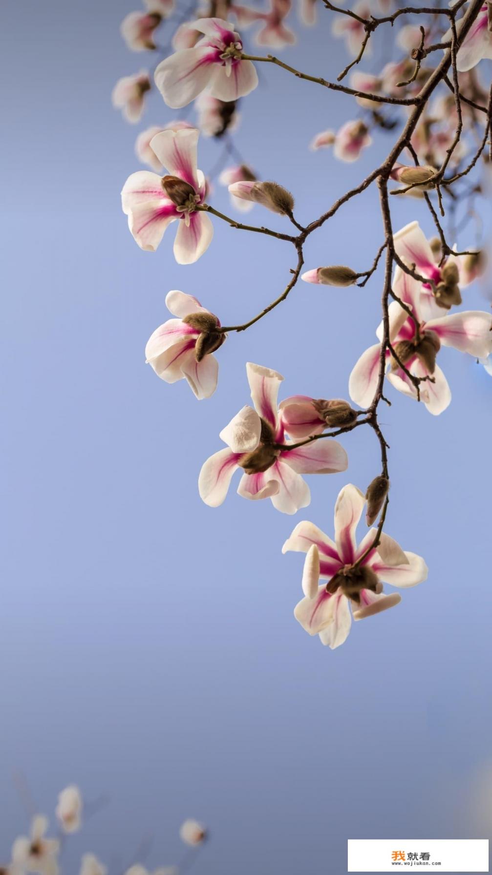 清华吴彦祖演讲文字版？