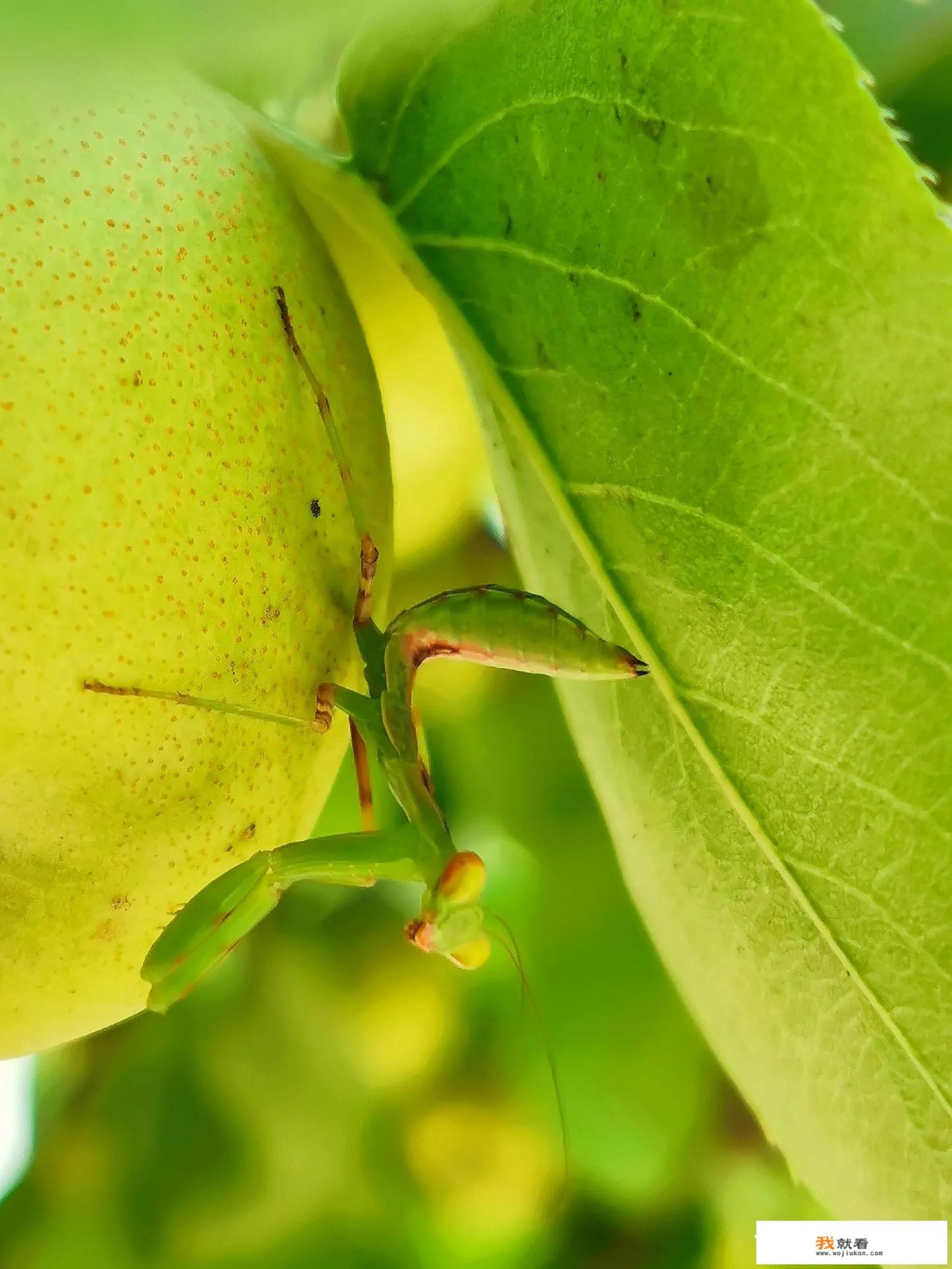 微视频怎么拍摄？