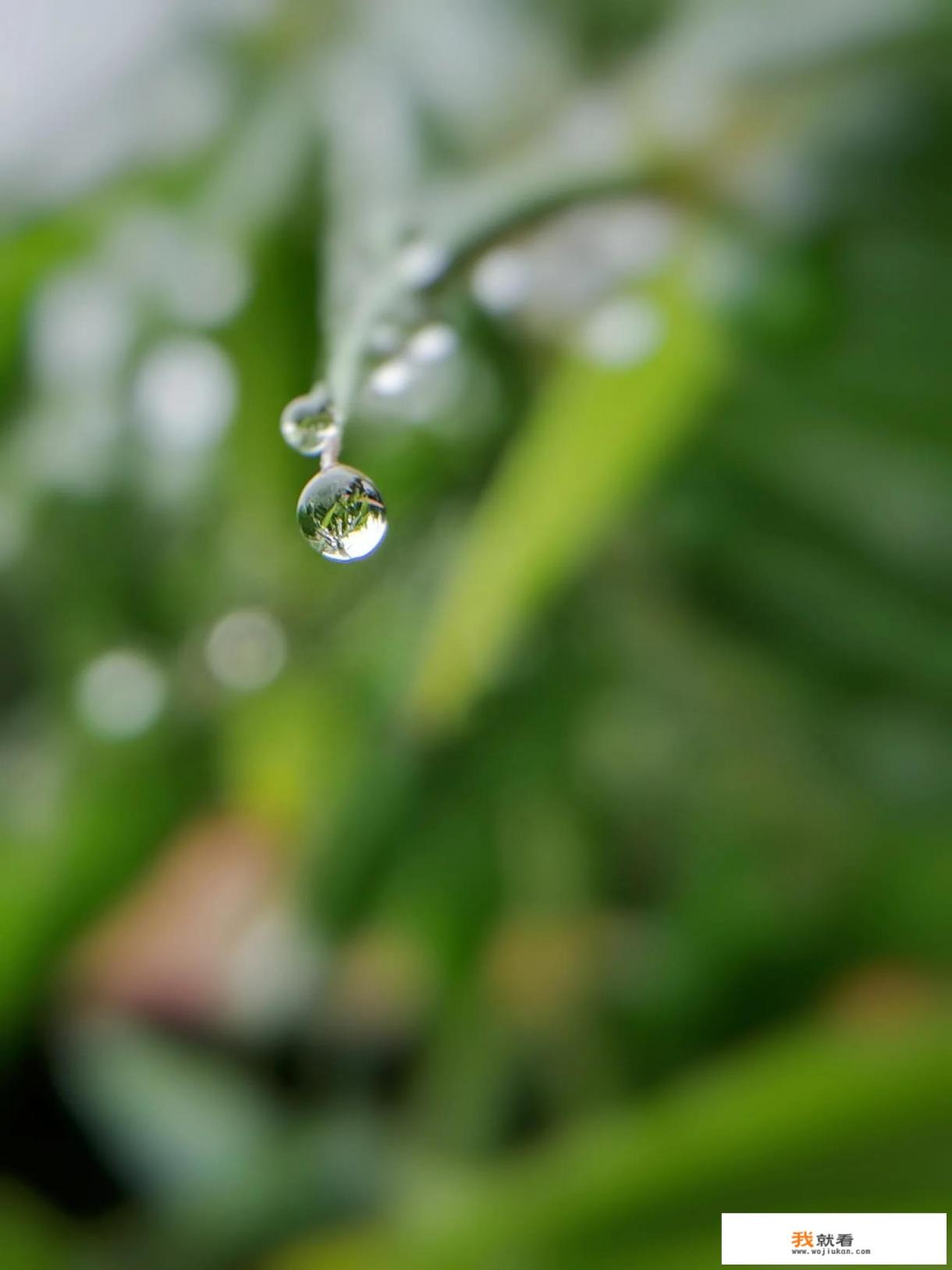 微视频怎么拍摄？