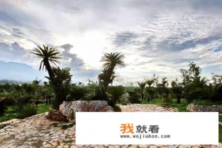 康辉旅行社口碑？