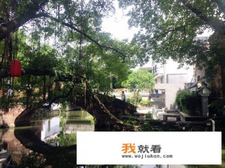 广州到顺德一日游有哪些路线推荐？