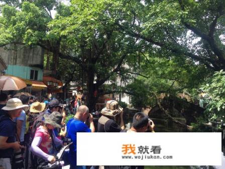 广州到顺德一日游有哪些路线推荐？