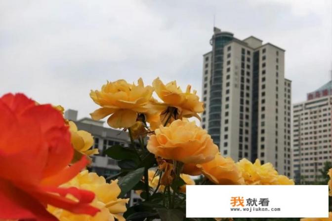 杭州周边一日游找了很多，想去有特色的，求推荐？