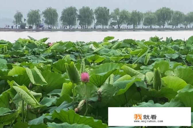 杭州周边一日游找了很多，想去有特色的，求推荐？