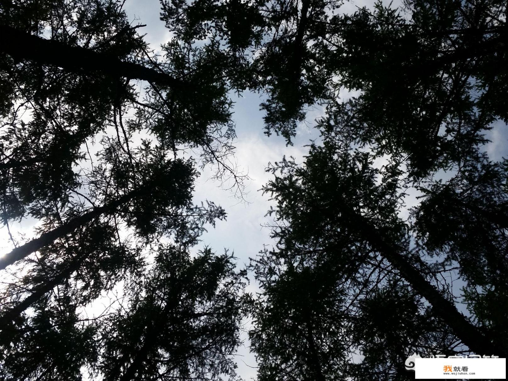 承德兴隆自驾游最佳路线？