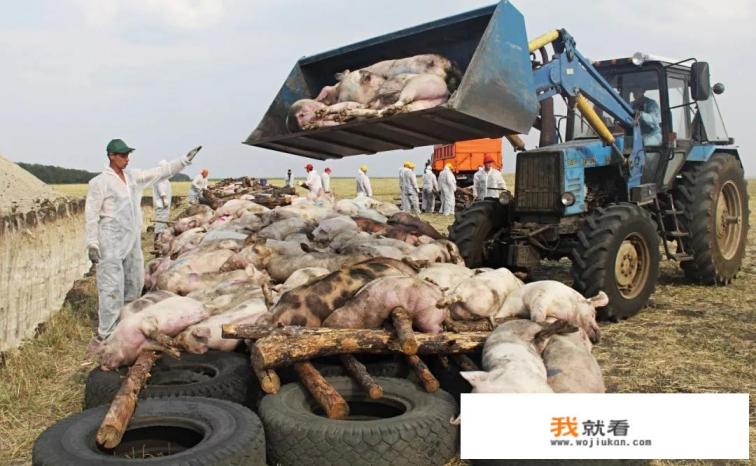 晚风的尽头是自由是什么意思? 晚风的尽头是自由是什么意思?