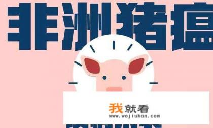 晚风的尽头是自由是什么意思? 晚风的尽头是自由是什么意思?