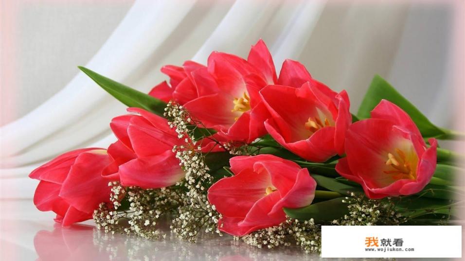 12属相是哪些? 12属相是哪些?