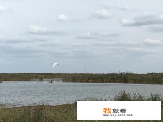 如果免费,邀你参加一次西藏云南自驾游,你会利用四个月时间参加吗?为什么? 如果免费,邀你参加一次西藏云南自驾游,你会利用四个月时间参加吗?为什么?